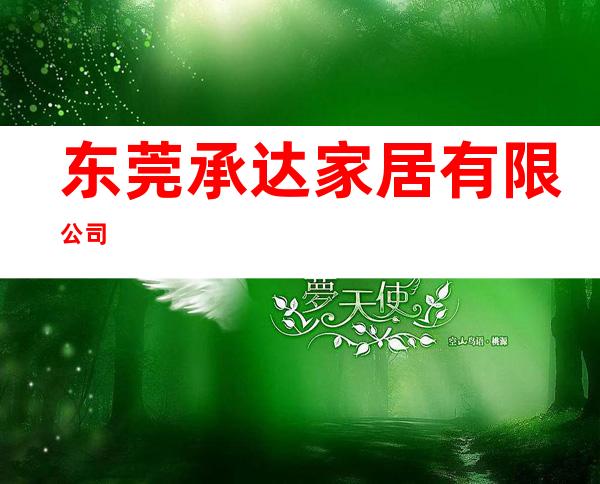 东莞承达家居有限公司