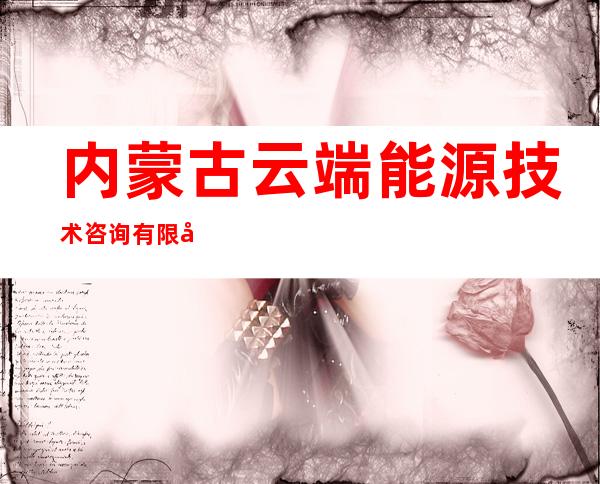 内蒙古云端能源技术咨询有限公司