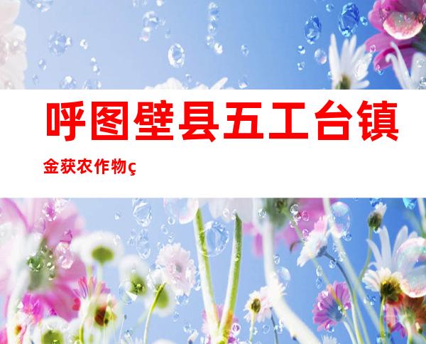 呼图壁县五工台镇金获农作物种植农民专业合作社