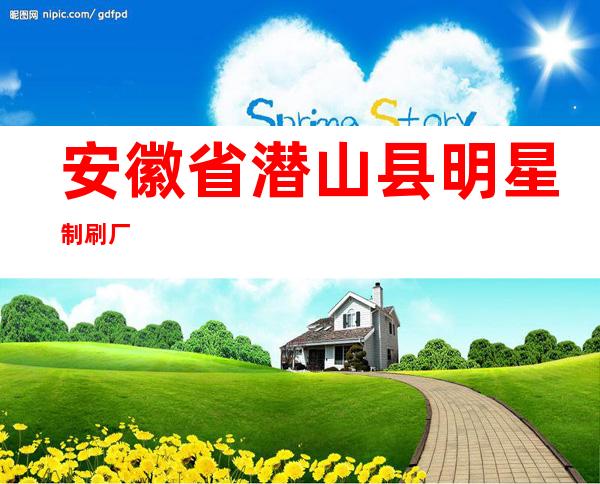 安徽省潜山县明星制刷厂