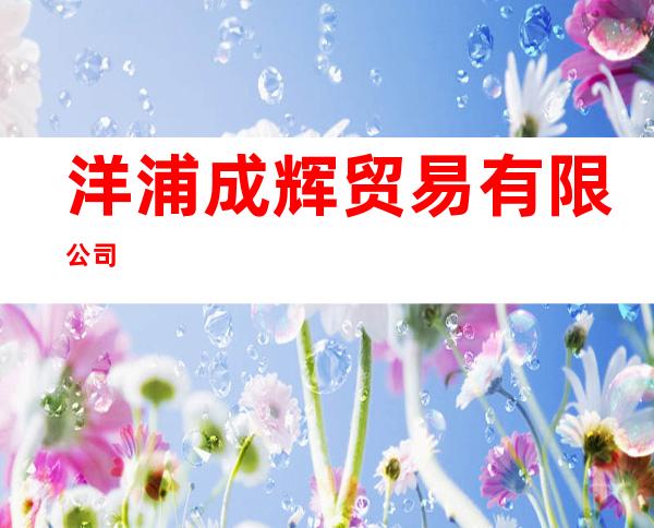 洋浦成辉贸易有限公司