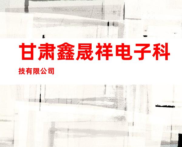 甘肃鑫晟祥电子科技有限公司