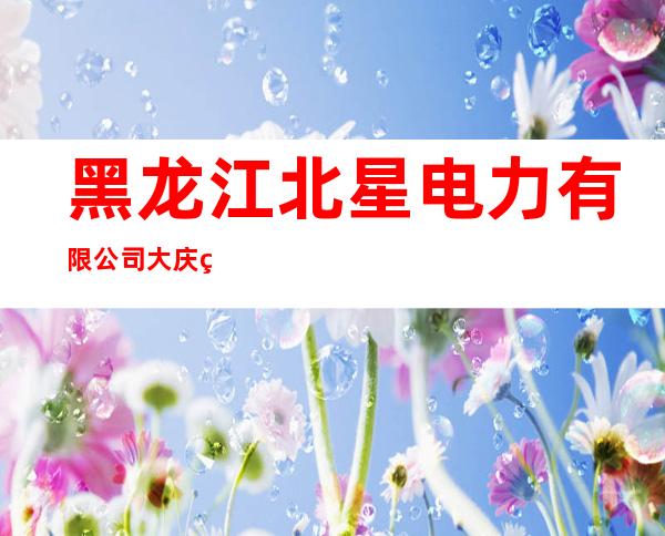 黑龙江北星电力有限公司大庆电力安装分公司