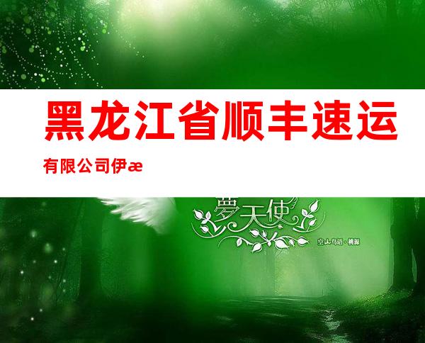 黑龙江省顺丰速运有限公司伊春分公司嘉荫营业部