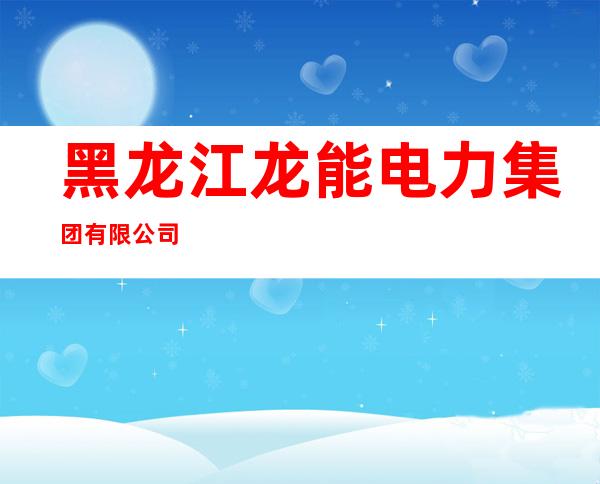 黑龙江龙能电力集团有限公司